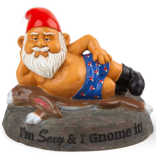I'm Sexy and I Gnome It